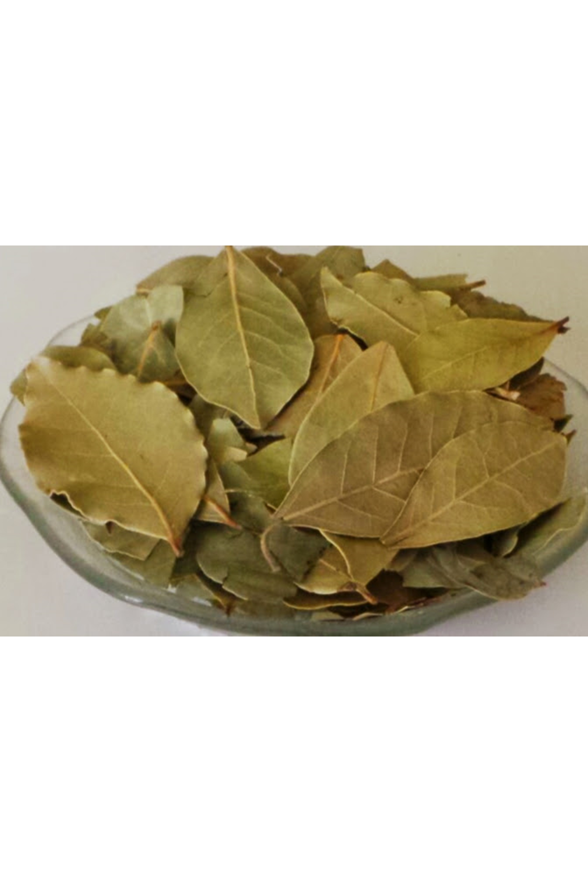 Fitoderman Defne Yaprağı 100g