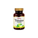 Balen Tribulus Terrestris 620 mg * 60 Kapsül